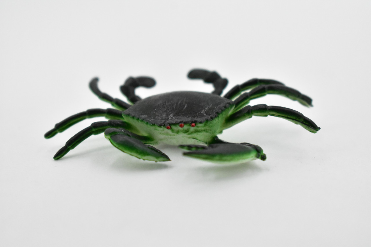 Mud Crab, Saltwater, Rock Crab, Rubber, Crustacean Design, Educational, Hand Painted, Figure, Lifelike, Model, Replica, Gift      2 1/2"     