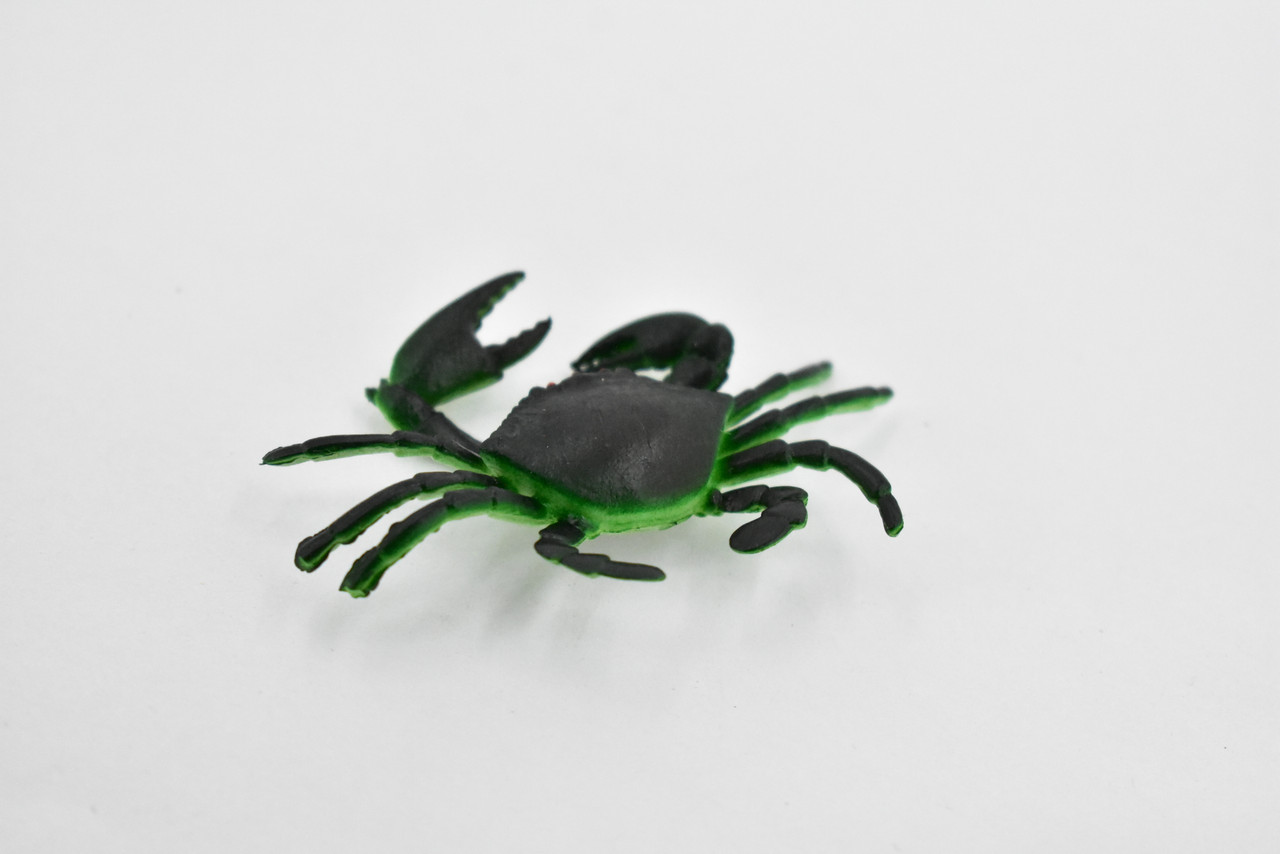 Mud Crab, Saltwater, Rock Crab, Rubber, Crustacean Design, Educational, Hand Painted, Figure, Lifelike, Model, Replica, Gift      2 1/2"       F589 B34