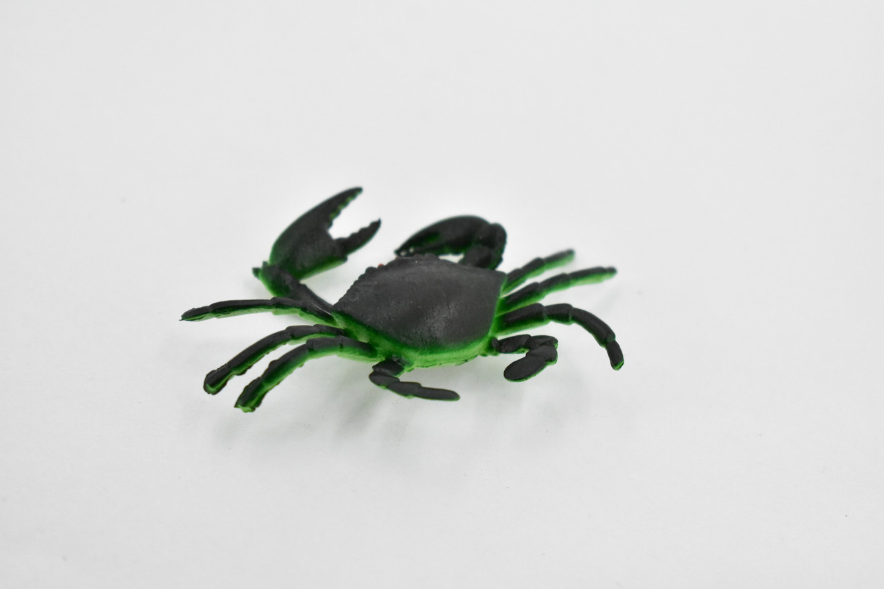 Crab, Saltwater, Rock Crab, Rubber, Crustacean Design, Educational, Hand Painted, Figure, Lifelike, Model, Replica, Gift      2 1/2"       F589 B34