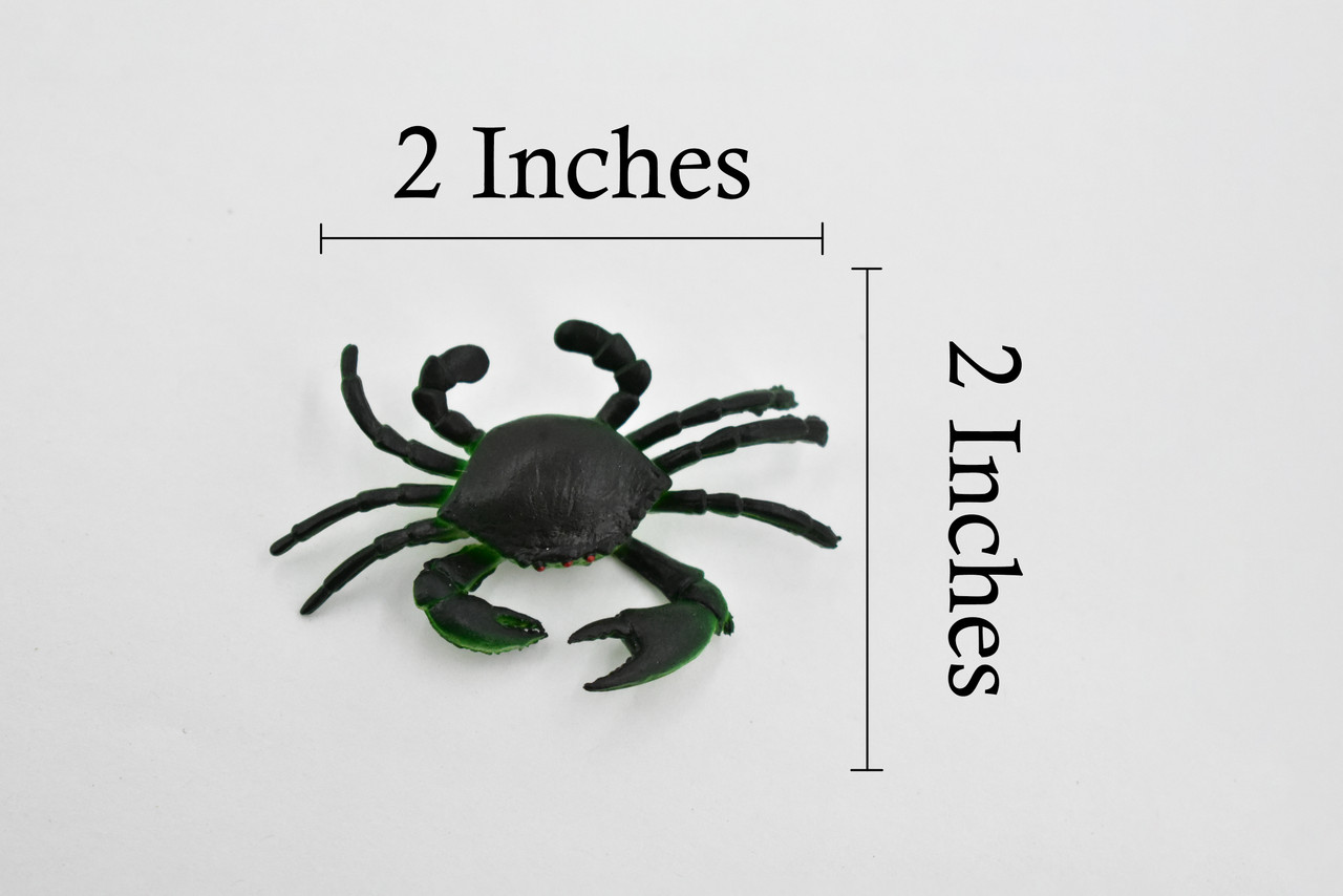 Crab, Saltwater, Rock Crab, Rubber, Crustacean Design, Educational, Hand Painted, Figure, Lifelike, Model, Replica, Gift      2 1/2"       F589 B34