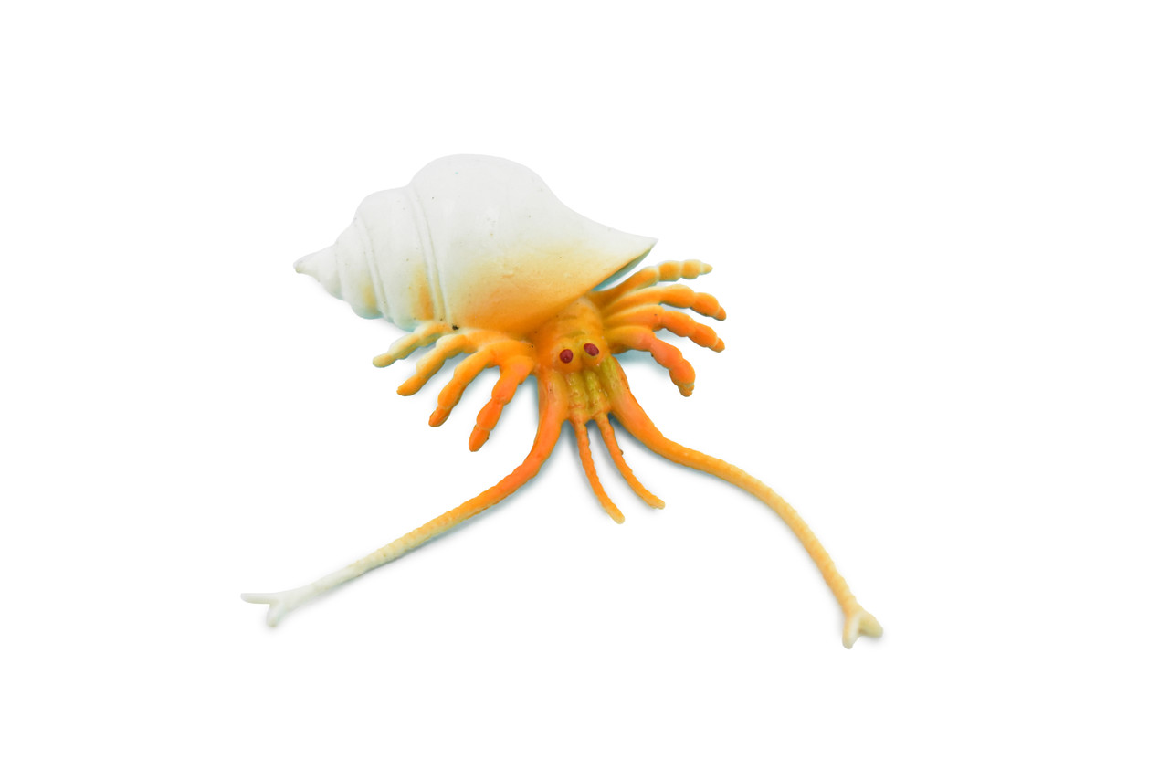 Crab, Hermit Crab, Plastic Crustaceans Design, Educational, Toy, Kids, Realistic Figure, Lifelike Model, Figurine, Replica, Gift,     2" 
