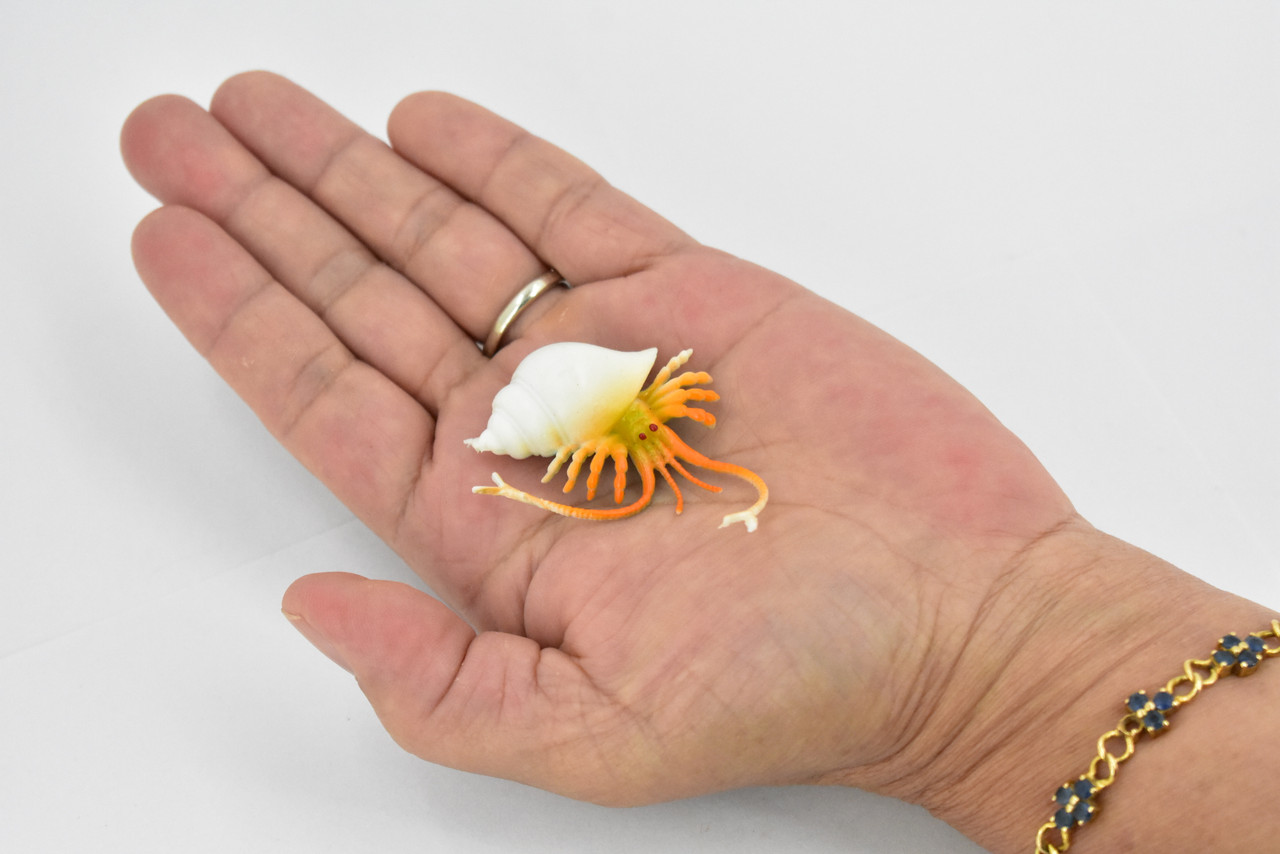 Crab, Hermit Crab, Plastic Crustaceans Design, Educational, Toy, Kids, Realistic Figure, Lifelike Model, Figurine, Replica, Gift,     2" 