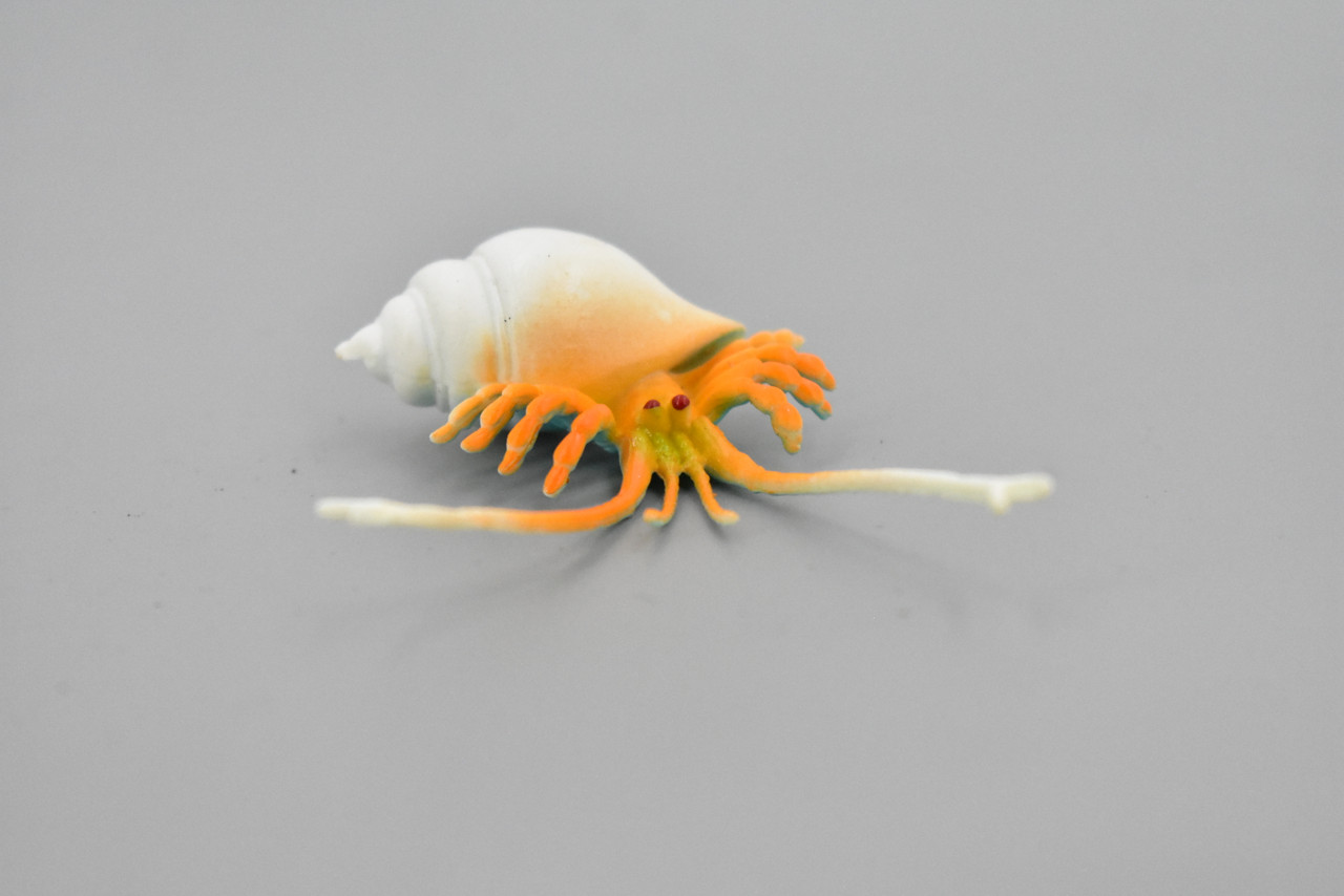 Crab, Hermit Crab, Plastic Crustaceans Design, Educational, Toy, Kids, Realistic Figure, Lifelike Model, Figurine, Replica, Gift,     2"      F595 B34