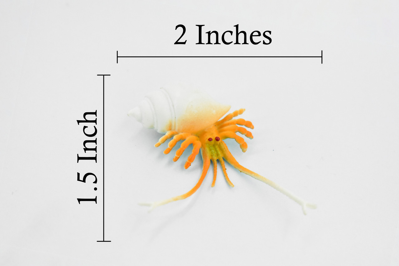 Crab, Hermit Crab, Plastic Crustaceans Design, Educational, Toy, Kids, Realistic Figure, Lifelike Model, Figurine, Replica, Gift,     2" 