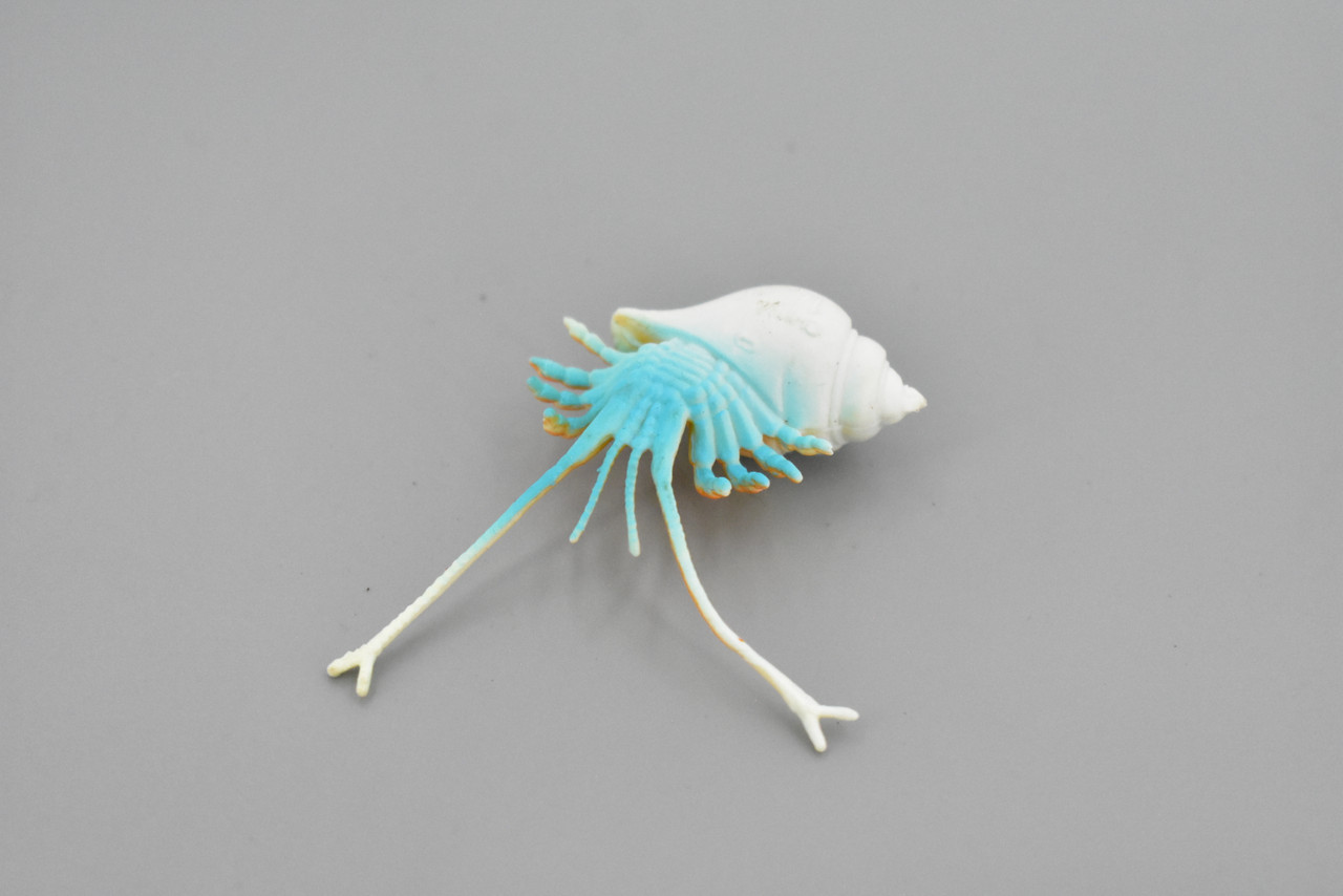 Crab, Hermit Crab, Plastic Crustaceans Design, Educational, Toy, Kids, Realistic Figure, Lifelike Model, Figurine, Replica, Gift,     2"      F595 B34