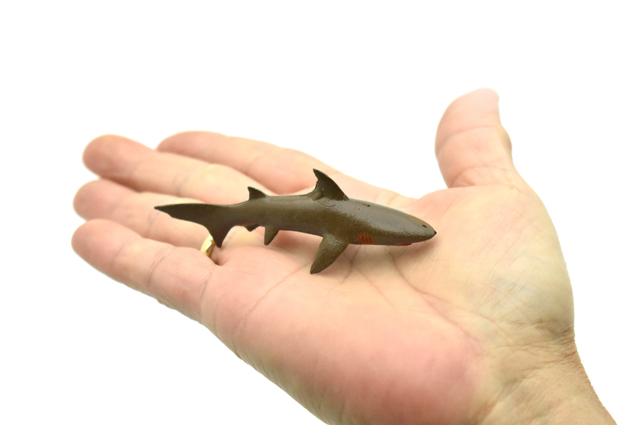 Gray Reef Shark, Very Nice Rubber Design, Hand Painted, Realistic, Figure, Toy, Kids, Educational, Gift,        3"  