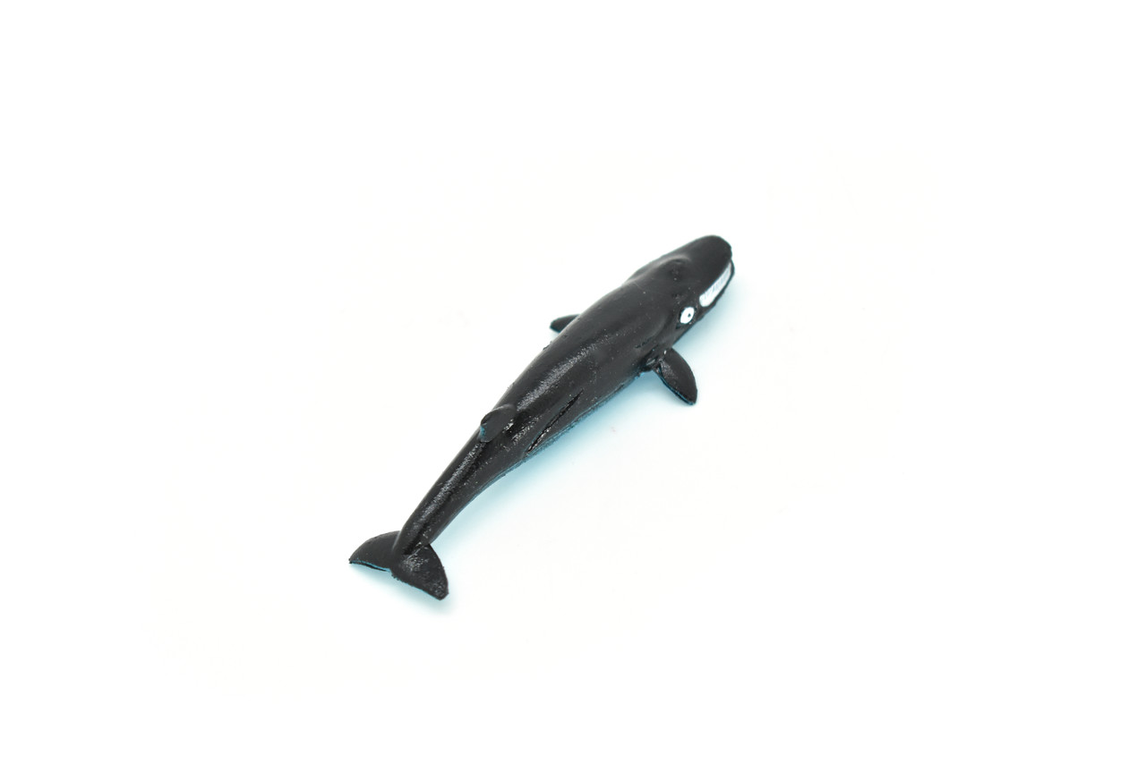 Baleen Whale, Very Nice Plastic Replica    3"  -  F603 B36