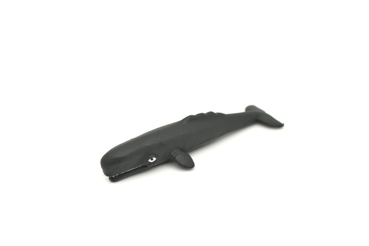 Sperm Whale, Plastic Replica    3"   -   F604 B35