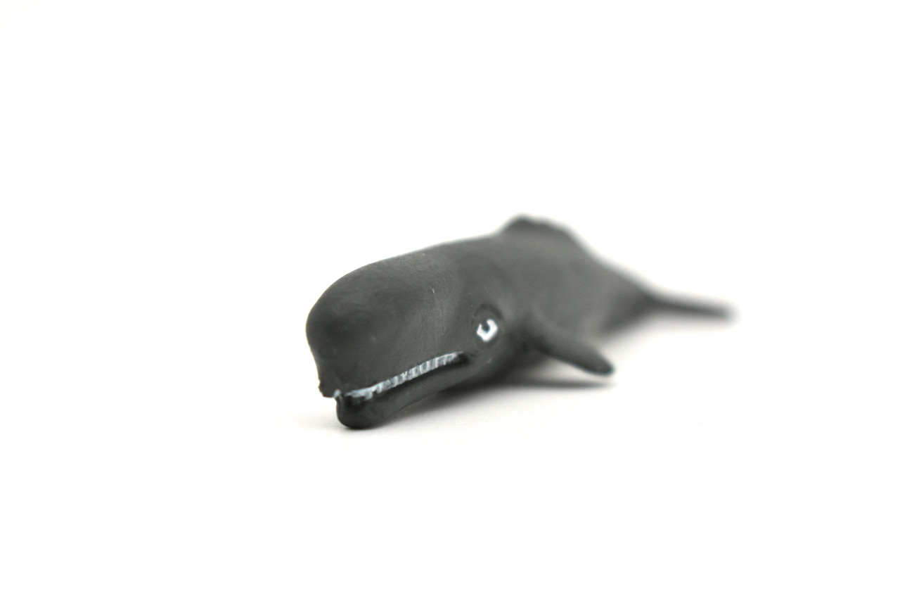 Sperm Whale, Plastic Replica    3"   -   F604 B35