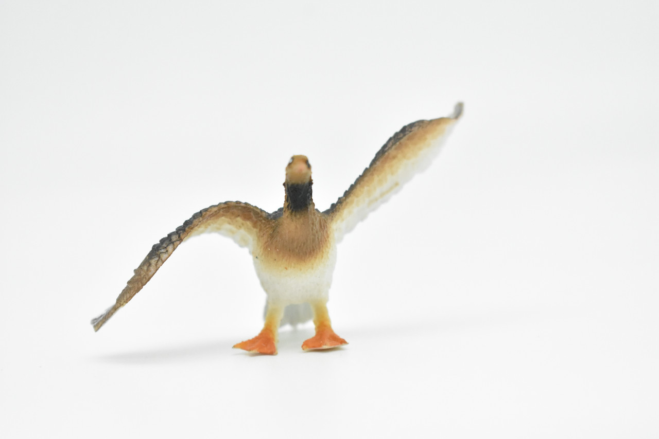 Cormorant, Water Bird, Great Cormorant, Very Nice Plastic Design, Educational, Diorama, Realistic Figure, Lifelike, Replica, Toy, Kids, Gift,   3 Inches.      F616 B131