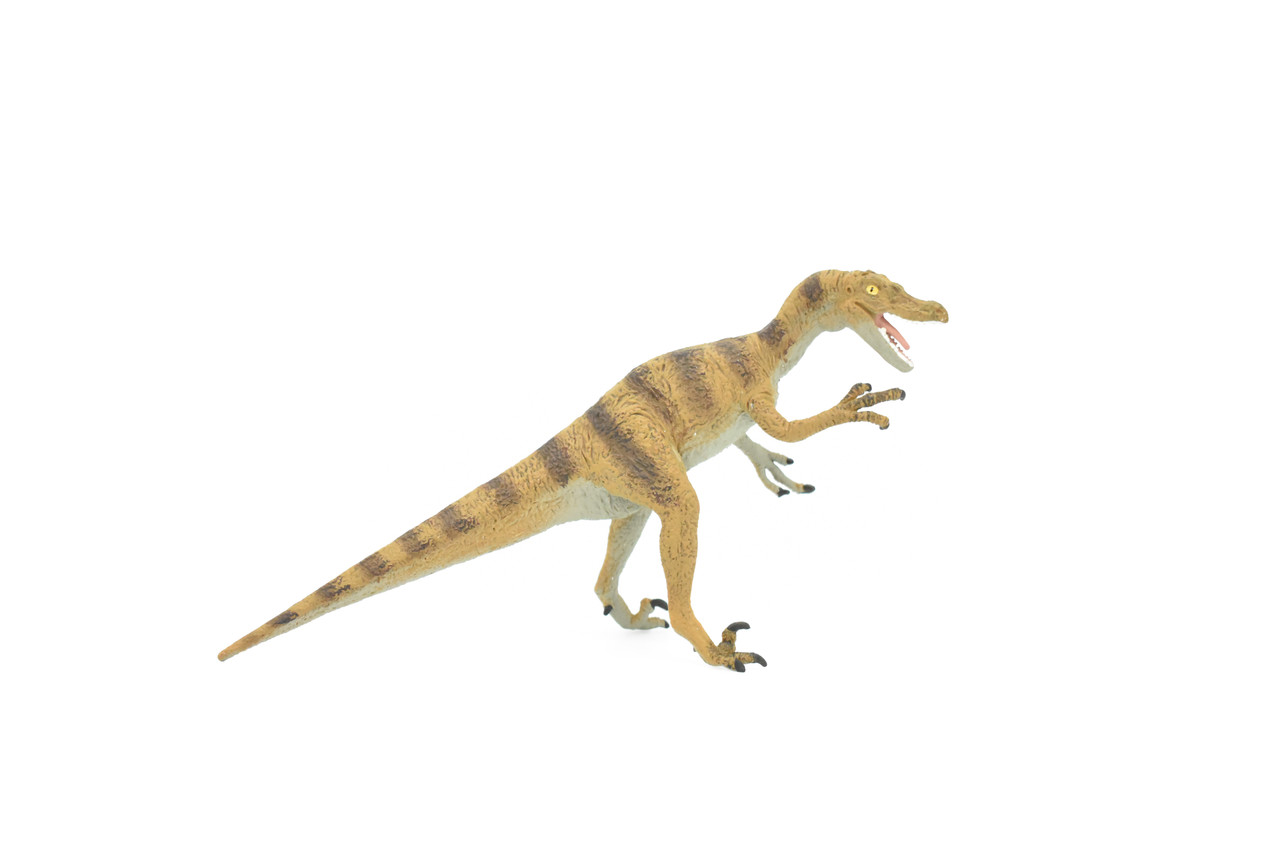 Velociraptor Dinosaur,  Museum Quality Plastic Replica   7"  -   F668 B69