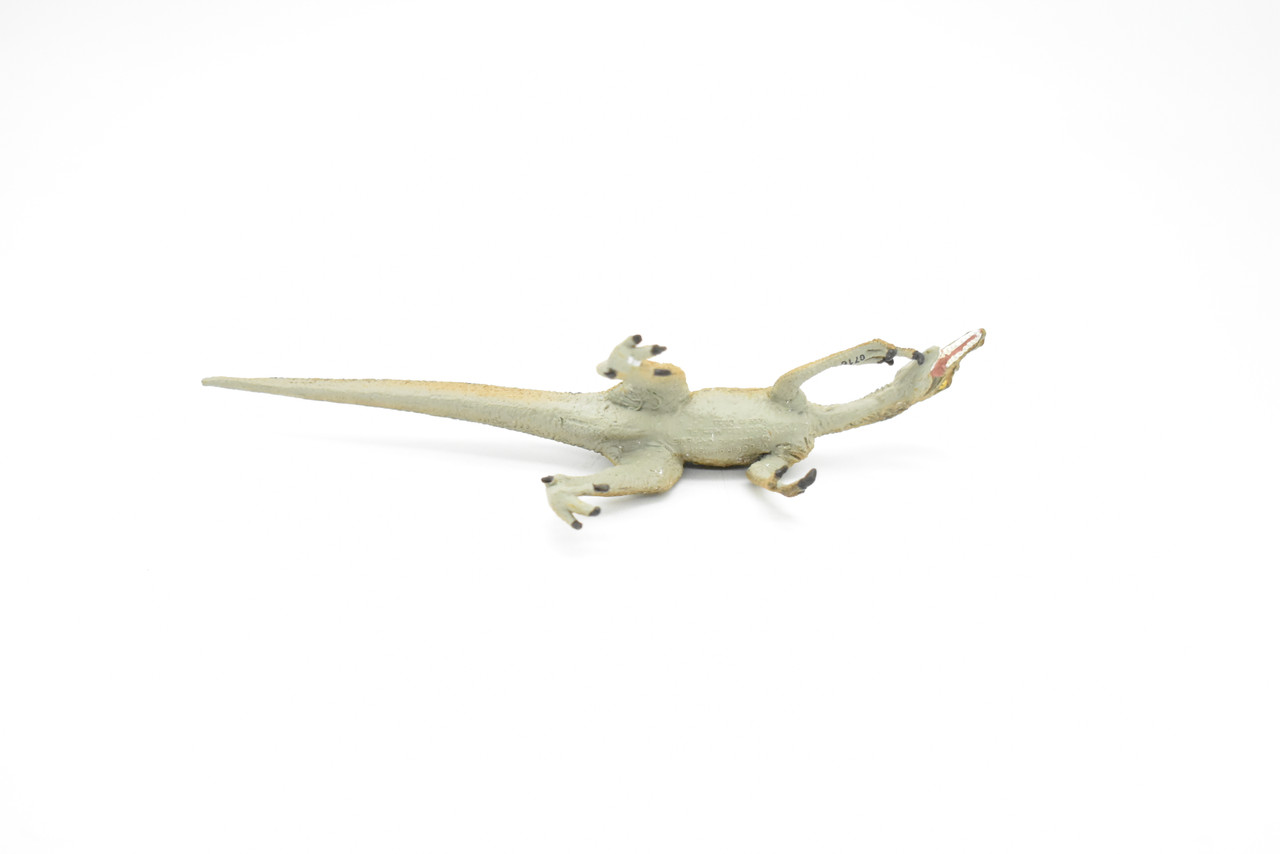 Velociraptor Dinosaur,  Museum Quality Plastic Replica   7"  -   F668 B69