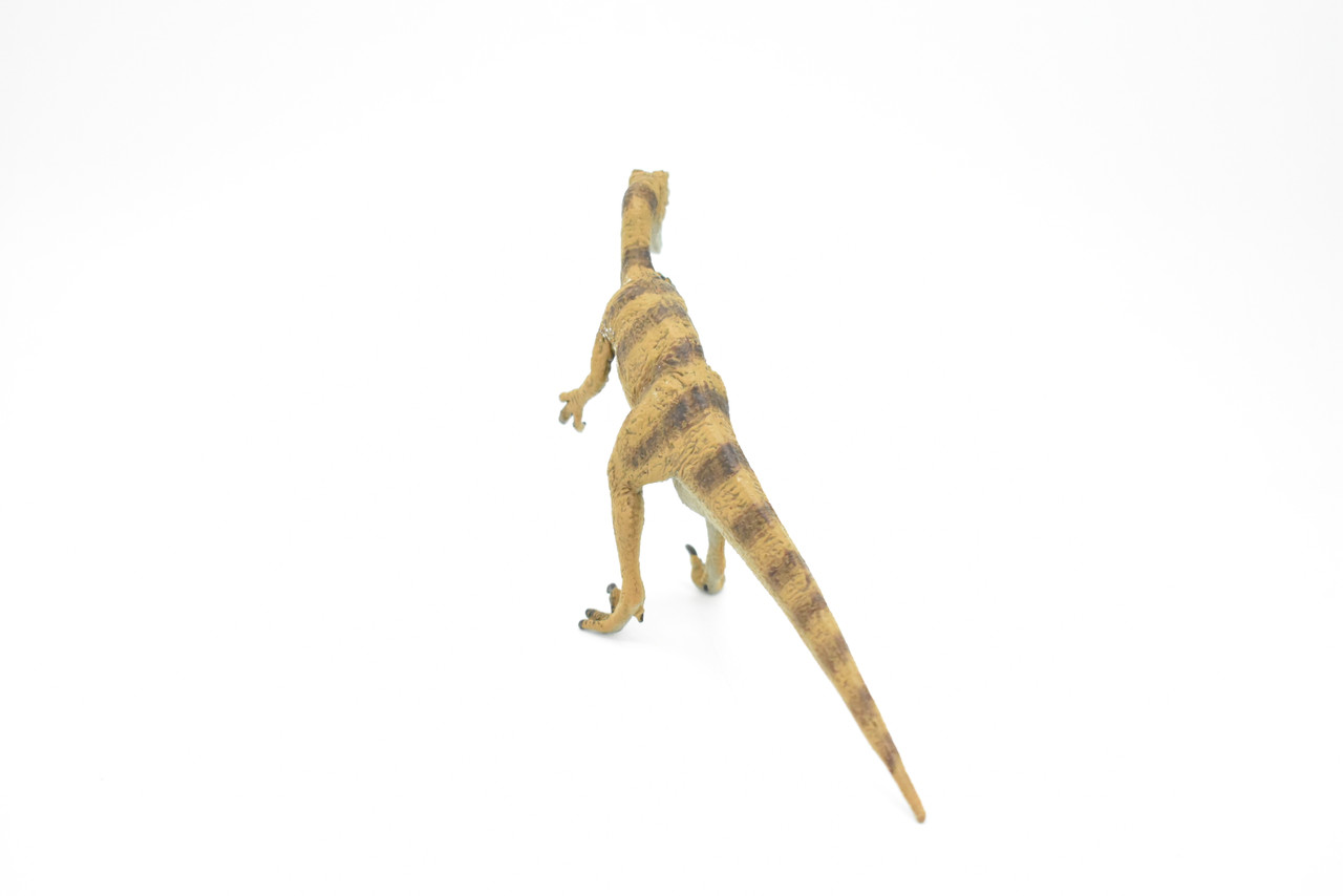 Velociraptor Dinosaur,  Museum Quality Plastic Replica   7"  -   F668 B69