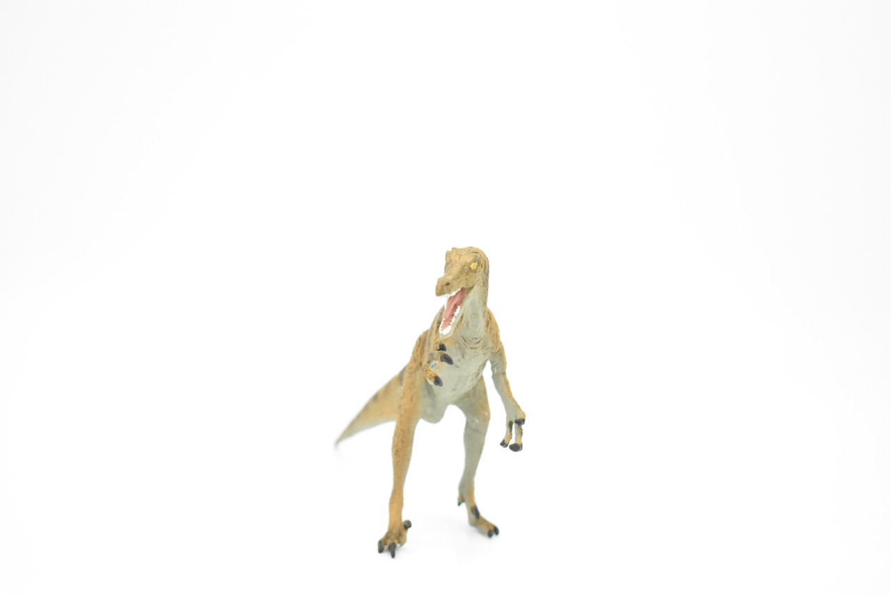 Velociraptor Dinosaur,  Museum Quality Plastic Replica   7"  -   F668 B69