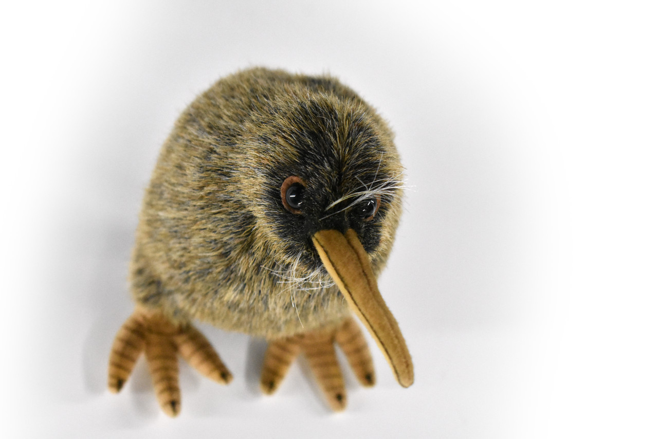 Kiwi Bird Plush Animal Museum Quality 8 Inches F705 B172