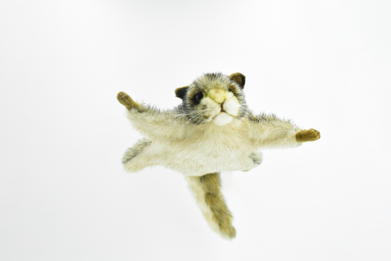 Squirrel, Flying, Hand Puppet, Very Nice Plush, Stuffed Animal, Educational, Realistic Figure, Lifelike Model, Replica, Gift,      14"     F842 B79       