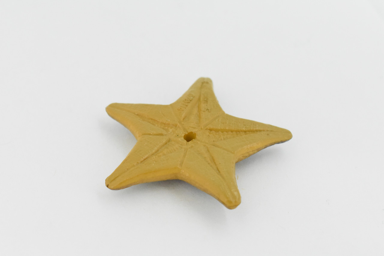 Starfish, Sea Star, echinoderms,  Edmond's, Ocean, Sea Life, Plastic Figure, Model, Realistic Replica, Educational, Figurine, Animal, Life Like, Gift,      2 1/4"       F926 B158