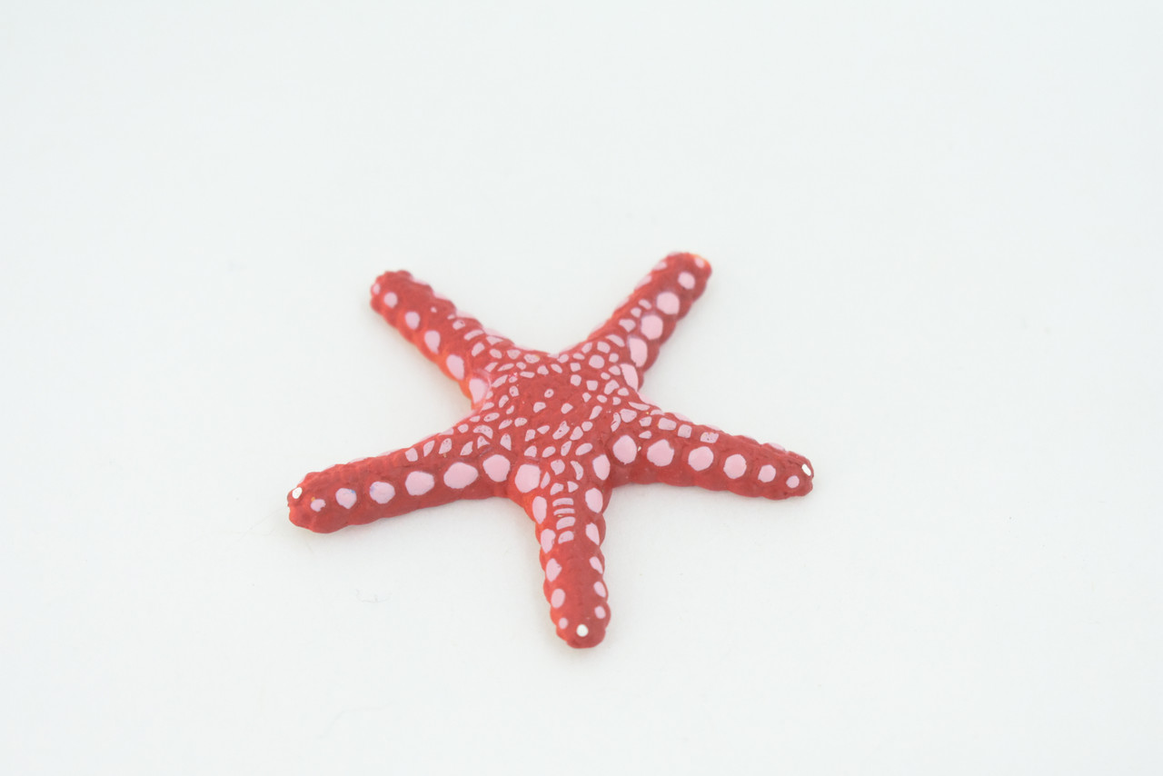 Starfish, Marble, Sea Star, Echinoderms, Asteroidea, Ocean, Sea Life, Plastic, Model, Realistic Replica, Educational Toy, Figurine, Life Like, Gift,    2 1/4"     F928 B158