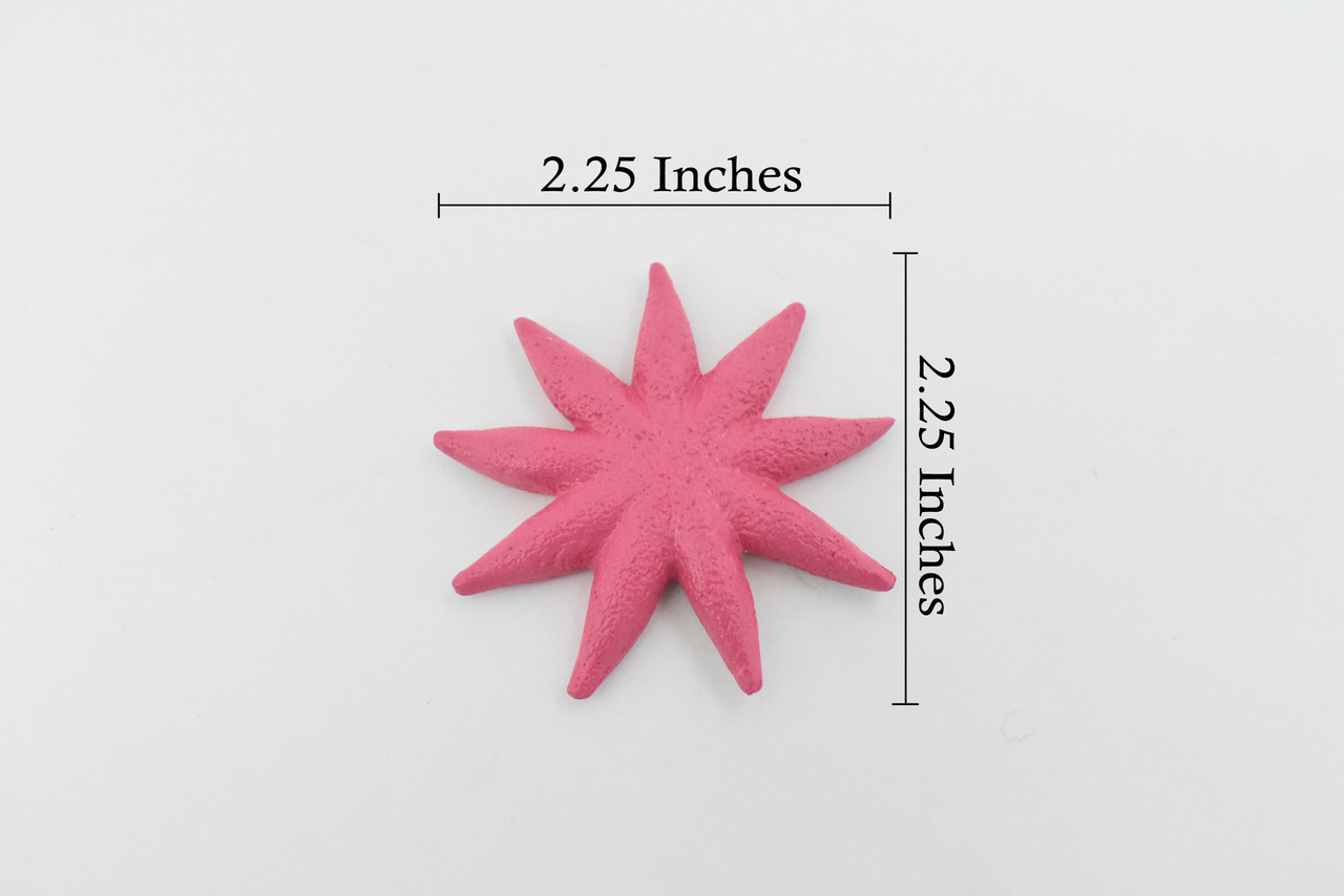 Starfish, Sun Star, Purple, Echinoderms, Asteroidea, Ocean, Sea Life, Plastic Figure, Model, Realistic Replica, Educational Toy, Life Like, Gift,      2 1/4  "    F930 B158