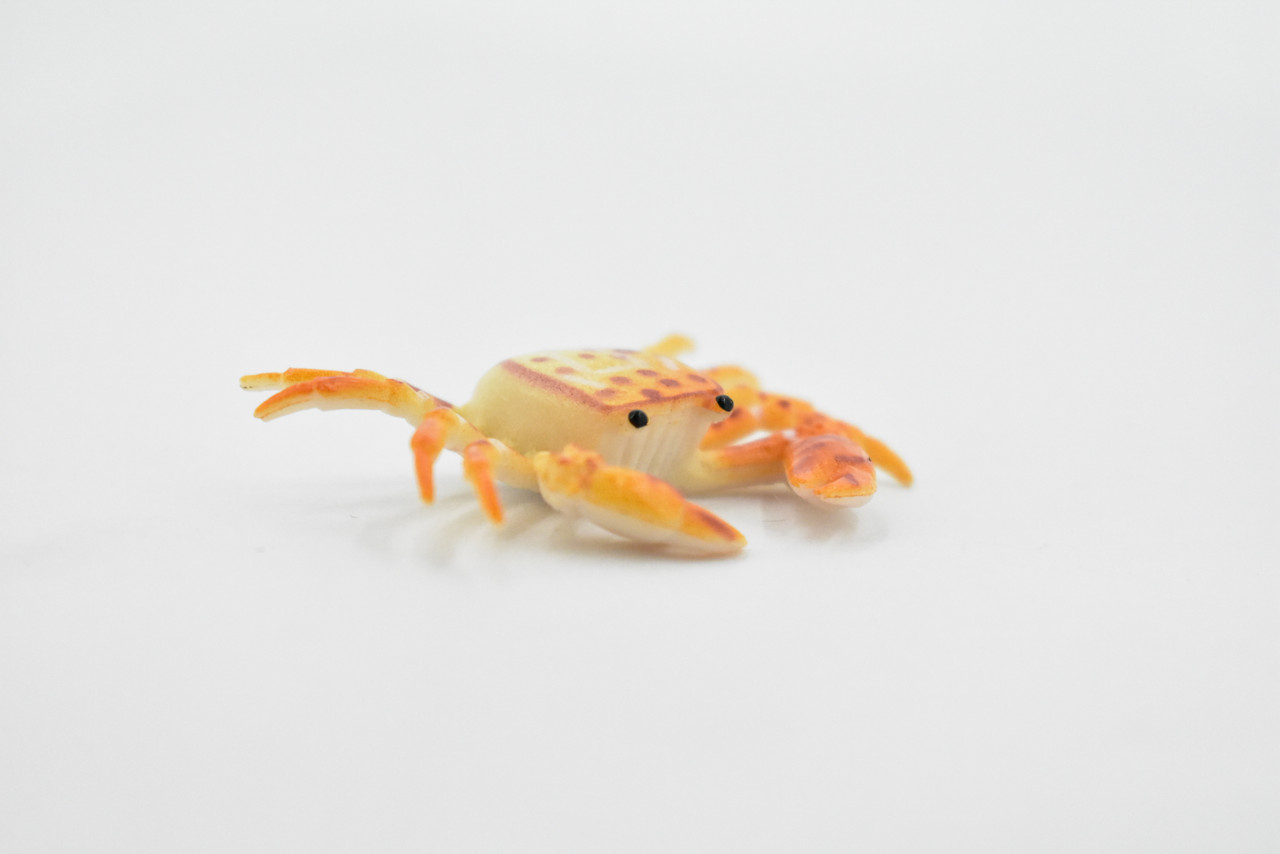 Crab, Helmet Crab, Rubber, Crustaceans, Educational, Realistic, Hand Painted, Figure, Lifelike Figurine, Replica, Gift,     2"      F936 B157