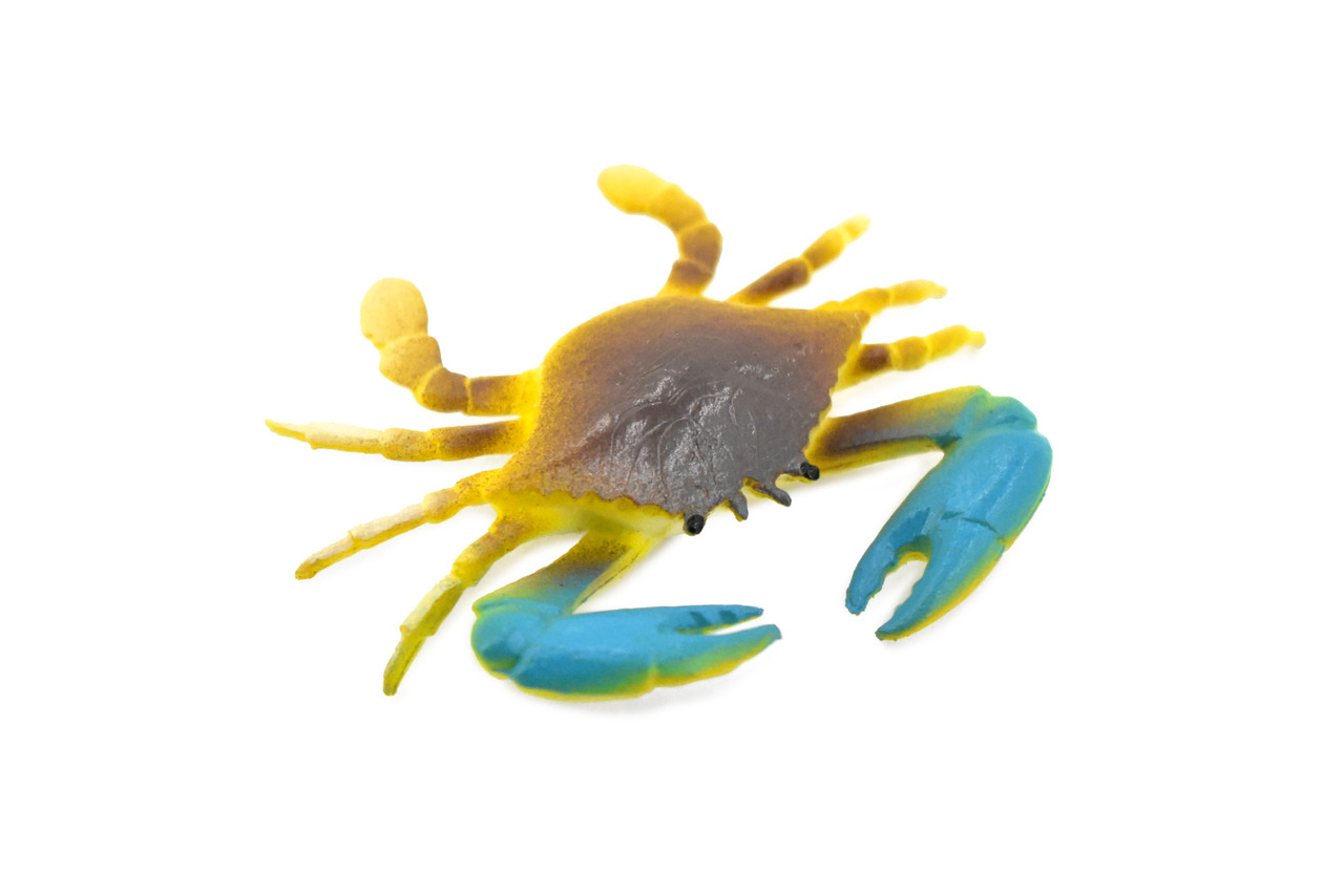 Crab, Blue Crab, Rubber, Crustaceans, Educational, Realistic, Hand Painted, Figure, Lifelike Figurine, Replica, Gift,     2"      F937 B157