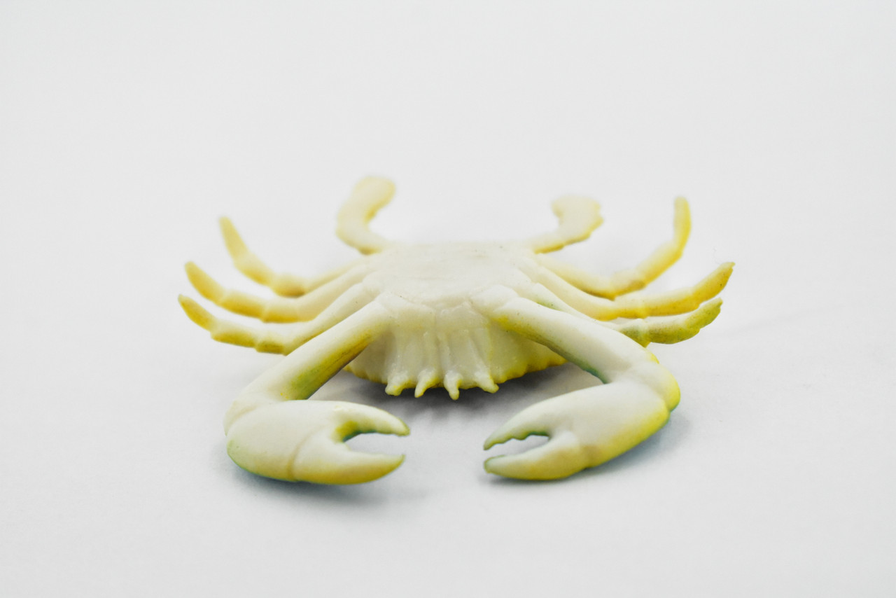 Crab, Blue Crab, Rubber, Crustaceans, Educational, Realistic, Hand Painted, Figure, Lifelike Figurine, Replica, Gift,     2"      F937 B157