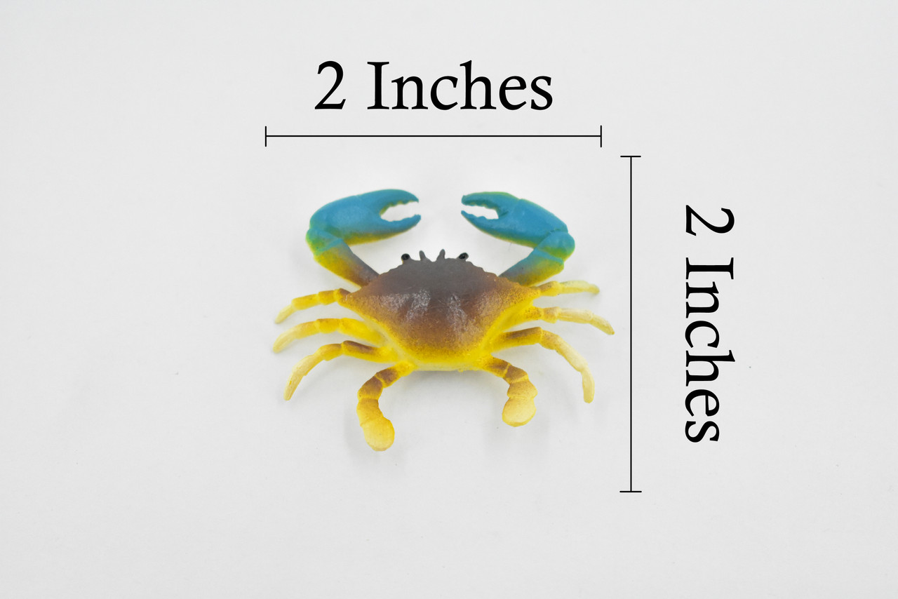 Crab, Blue Crab, Rubber, Crustaceans, Educational, Realistic, Hand Painted, Figure, Lifelike Figurine, Replica, Gift,     2"      F937 B157