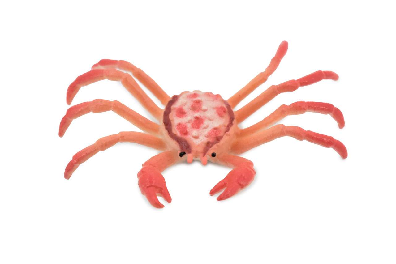 Crab, King Crab, Rubber, Crustaceans, Educational, Realistic, Hand Painted, Figure, Lifelike Figurine, Replica, Gift, 2 1/2" F938 B157