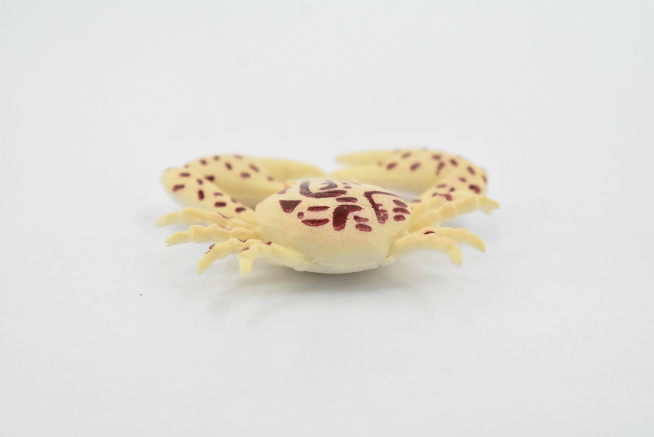 Crab, Purple Globe Crab, Rubber, Crustaceans, Educational, Realistic, Hand Painted, Figure, Lifelike Figurine, Replica, Gift,         2"   F940 B157