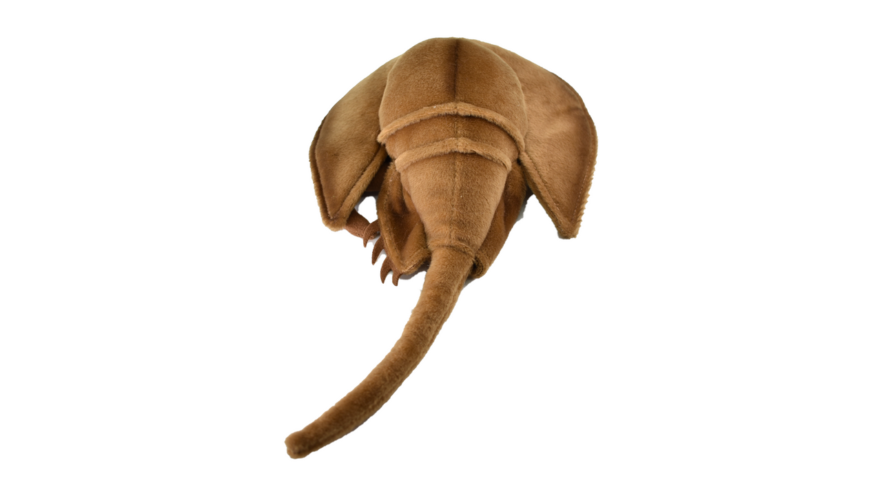 Horse Shoe Crab, Realistic, Lifelike, Stuffed, Ocean, Beach, Soft, Toy