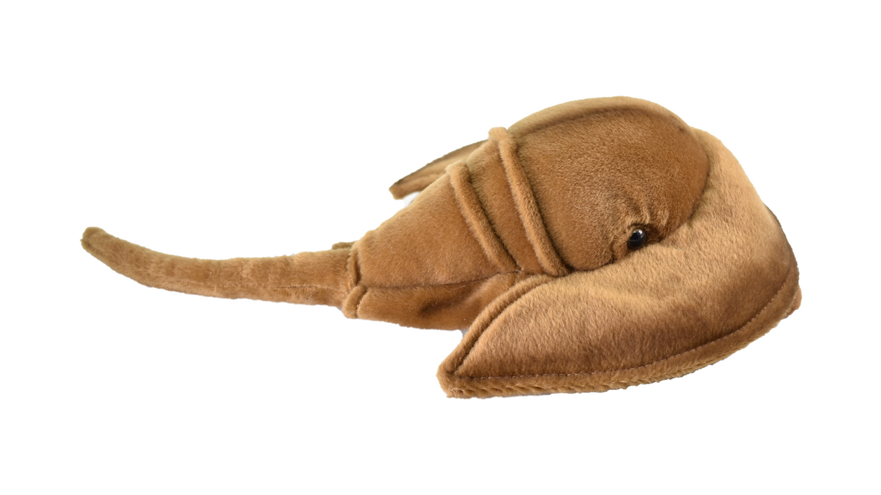 horseshoe crab stuffed animal