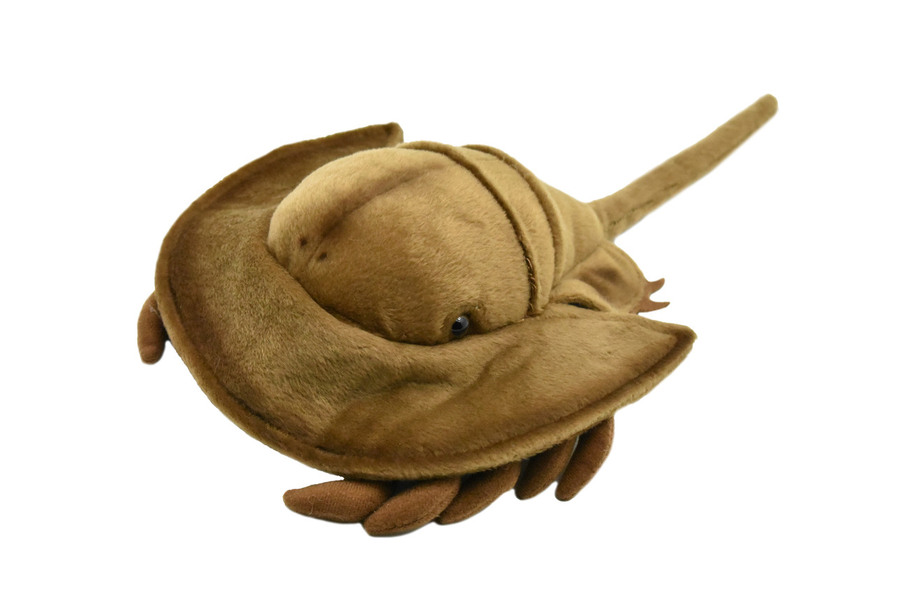 Horseshoe Crab, Realistic, Lifelike, Stuffed, Ocean, Beach, Soft, Toy, Educational, Animal, Kids, Gift, Very Nice Plush Animal       12"