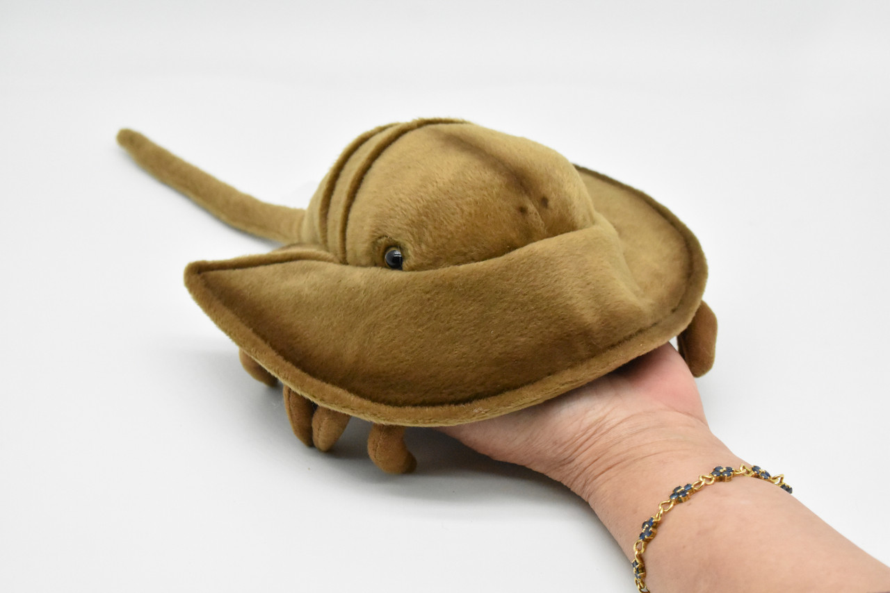 Horseshoe Crab, Realistic, Lifelike, Stuffed, Ocean, Beach, Soft, Toy, Educational, Animal, Kids, Gift, Very Nice Plush Animal       12"