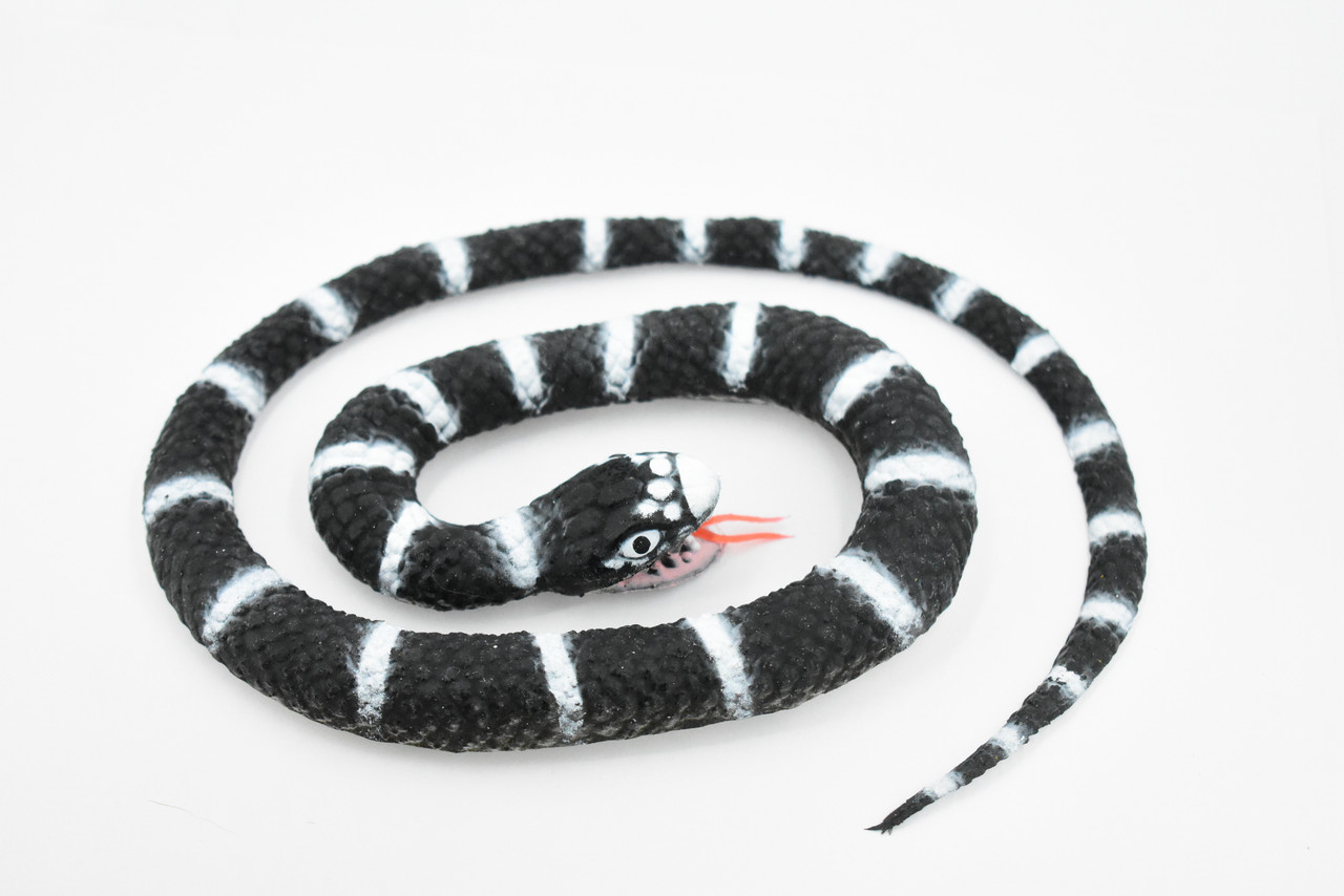 Snake, California King Snake, Coiled, Rubber Reptile, Educational, Realistic Hand Painted, Figure, Lifelike Model, Figurine, Replica, Gift,     26"     F4436 B307