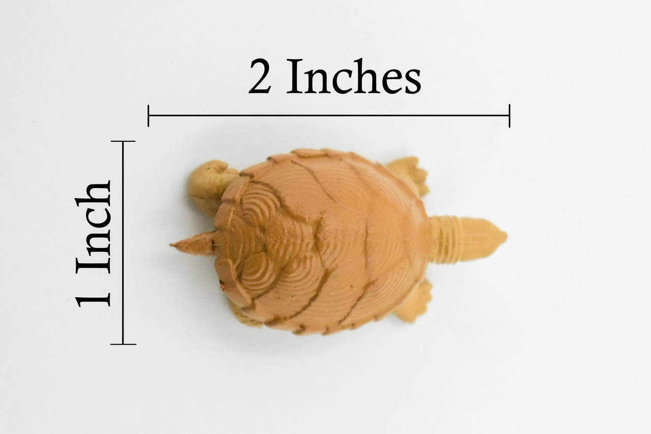 Turtle, Loggerhead Musk Turtle, Plastic Reptile, Educational, Realistic, Figure, Lifelike Model, Figurine, Replica, Gift,      2"       F7000 B1