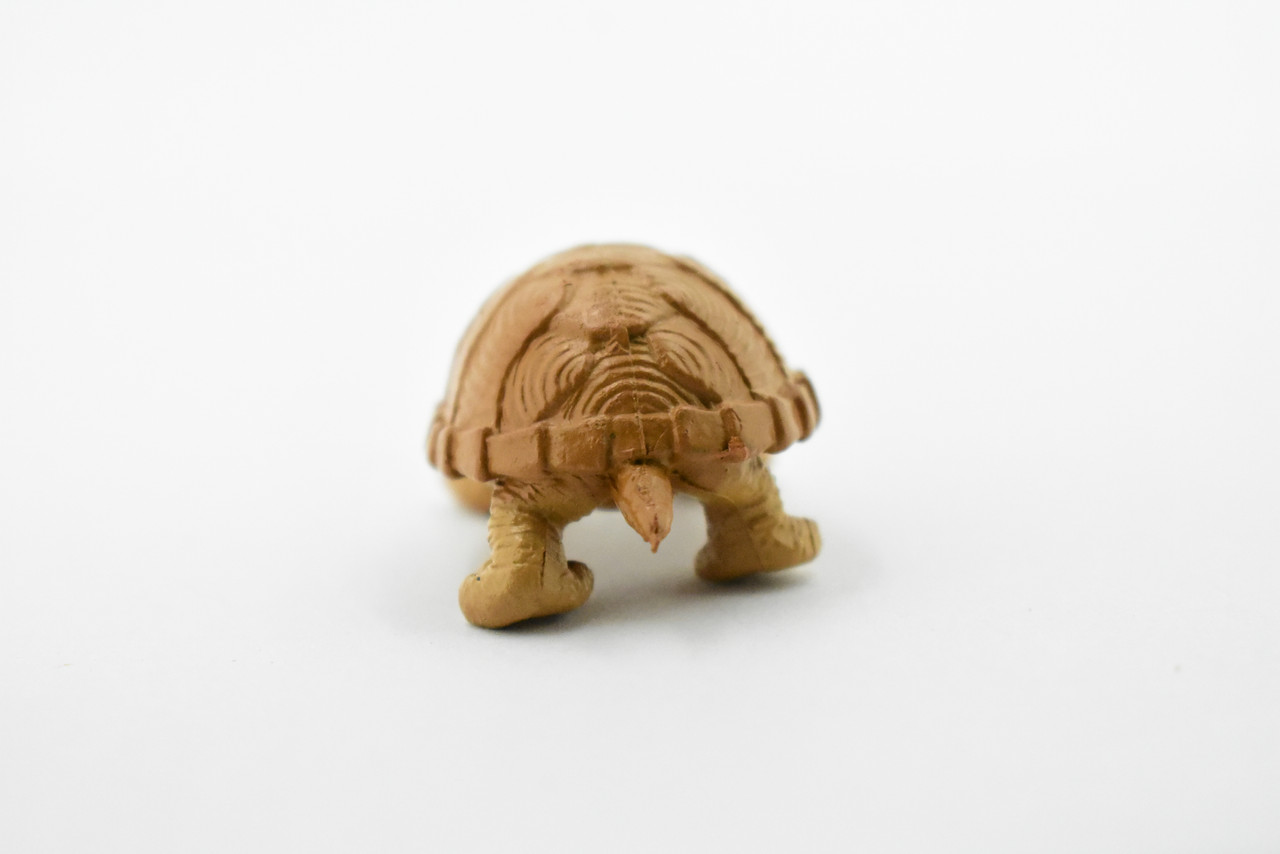 Turtle, Loggerhead Musk Turtle, Plastic Reptile, Educational, Realistic, Figure, Lifelike Model, Figurine, Replica, Gift,      2"       F7000 B1