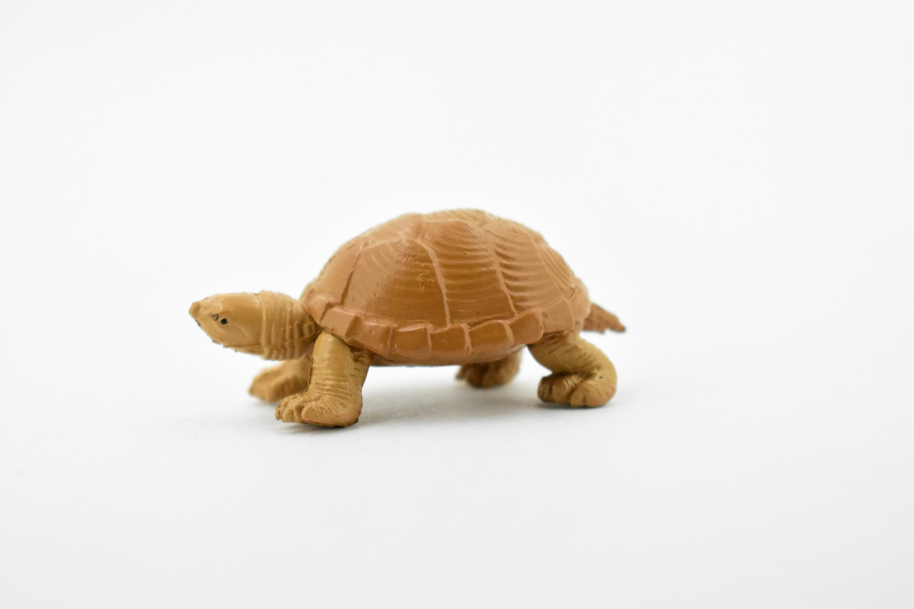 Turtle, Loggerhead Musk Turtle, Plastic Reptile, Educational, Realistic, Figure, Lifelike Model, Figurine, Replica, Gift,      2"       F7000 B1