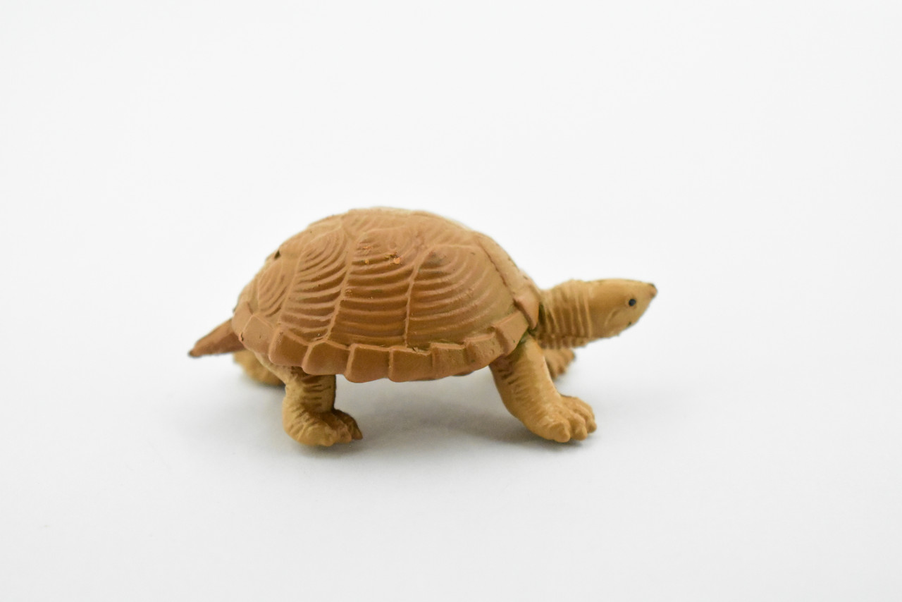 Turtle, Loggerhead Musk Turtle, Plastic Reptile, Educational, Realistic, Figure, Lifelike Model, Figurine, Replica, Gift,      2"       F7000 B1