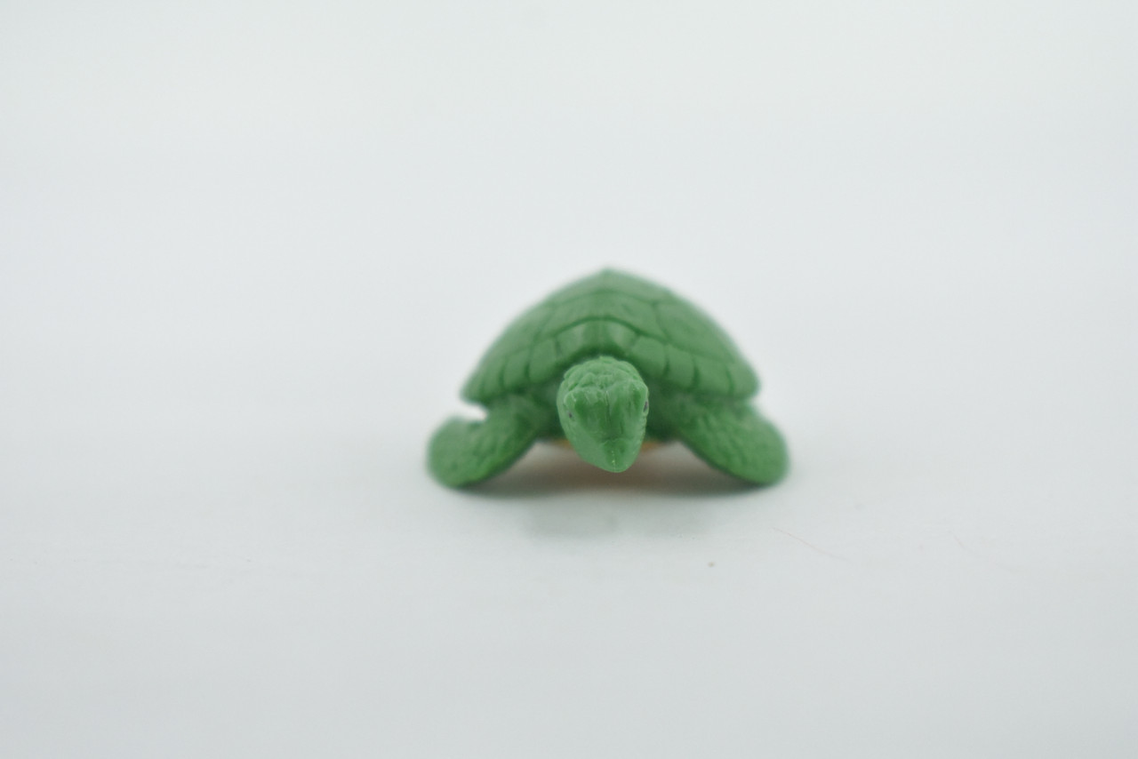 Sea Turtle, Green Sea Turtle, Design, Realistic, Figure, Reptile, Educational, Lifelike, Model, Figurine, Replica, Toy, Kids, Gift,      2"      F7005 B35