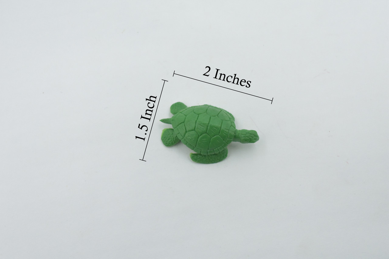 Sea Turtle, Green Sea Turtle, Design, Realistic, Figure, Reptile, Educational, Lifelike, Model, Figurine, Replica, Toy, Kids, Gift,      2"      F7005 B35