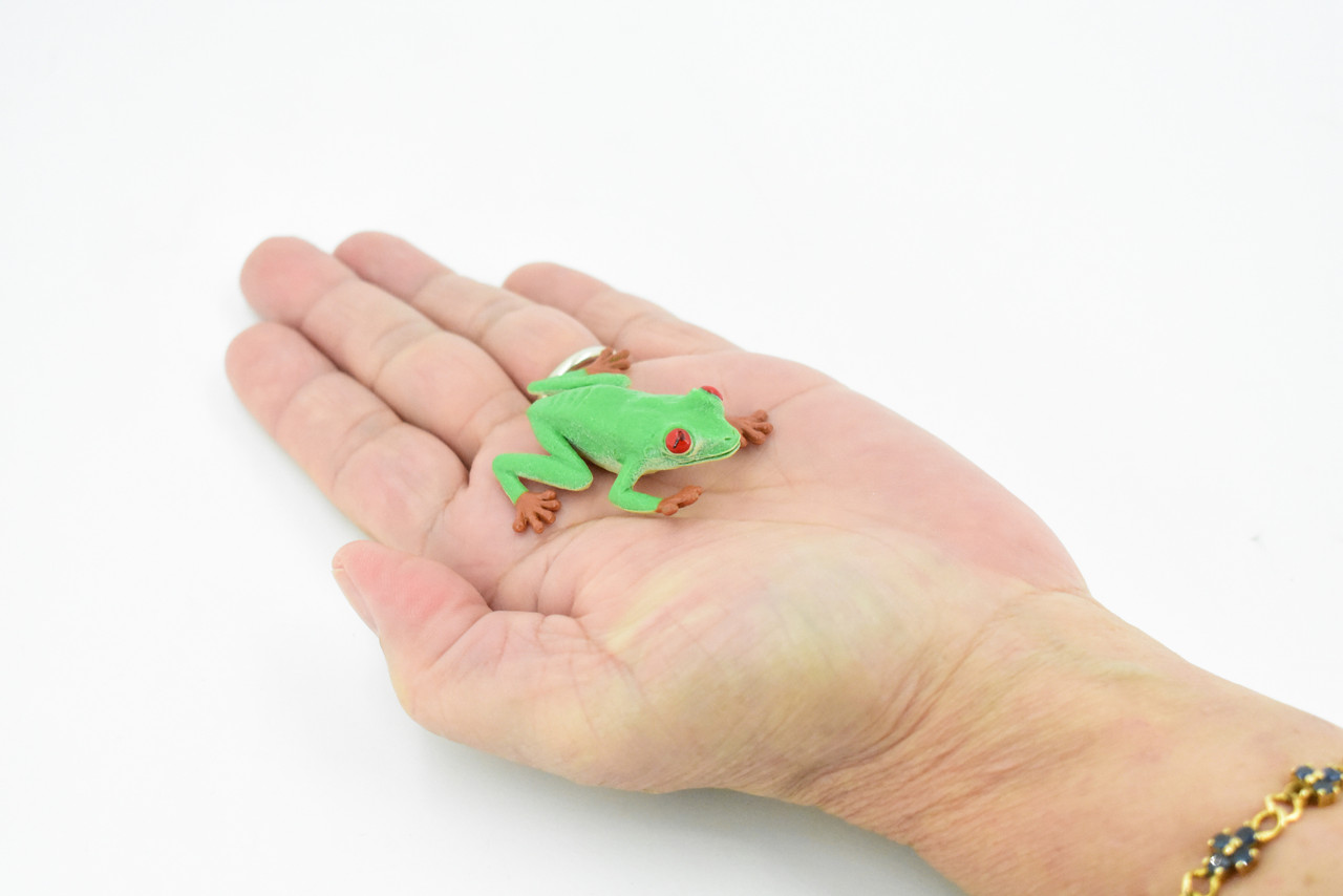 Frog, Red Eyed Tree Frog, Plastic Toy, Realistic, Rainforest, Figure, Model, Replica, Kids, Educational, Gift,      1 3/4"     F7008 B33