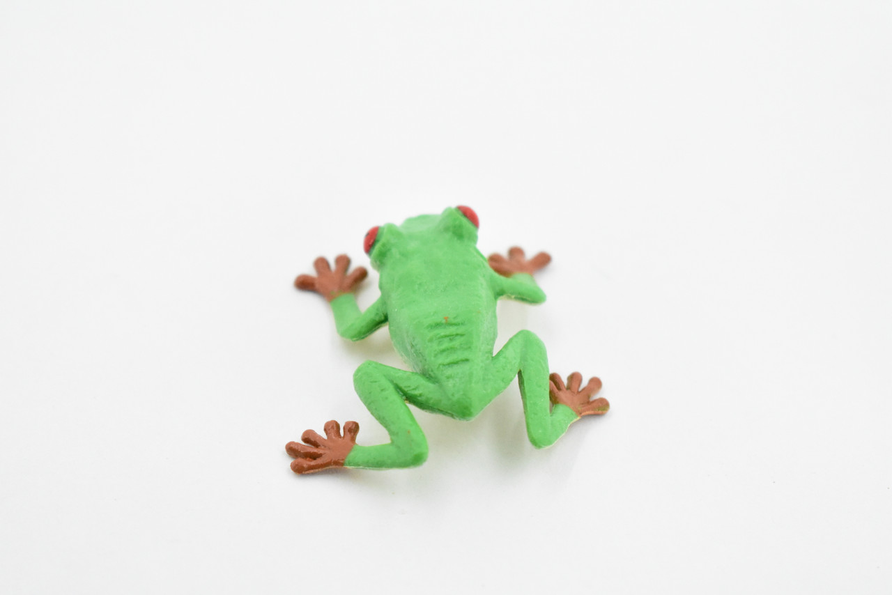 Frog, Red Eyed Tree Frog, Plastic Toy, Realistic, Rainforest, Figure,  Model, Replica, Kids, Educational, Gift, 1 3/4 F7008 B33