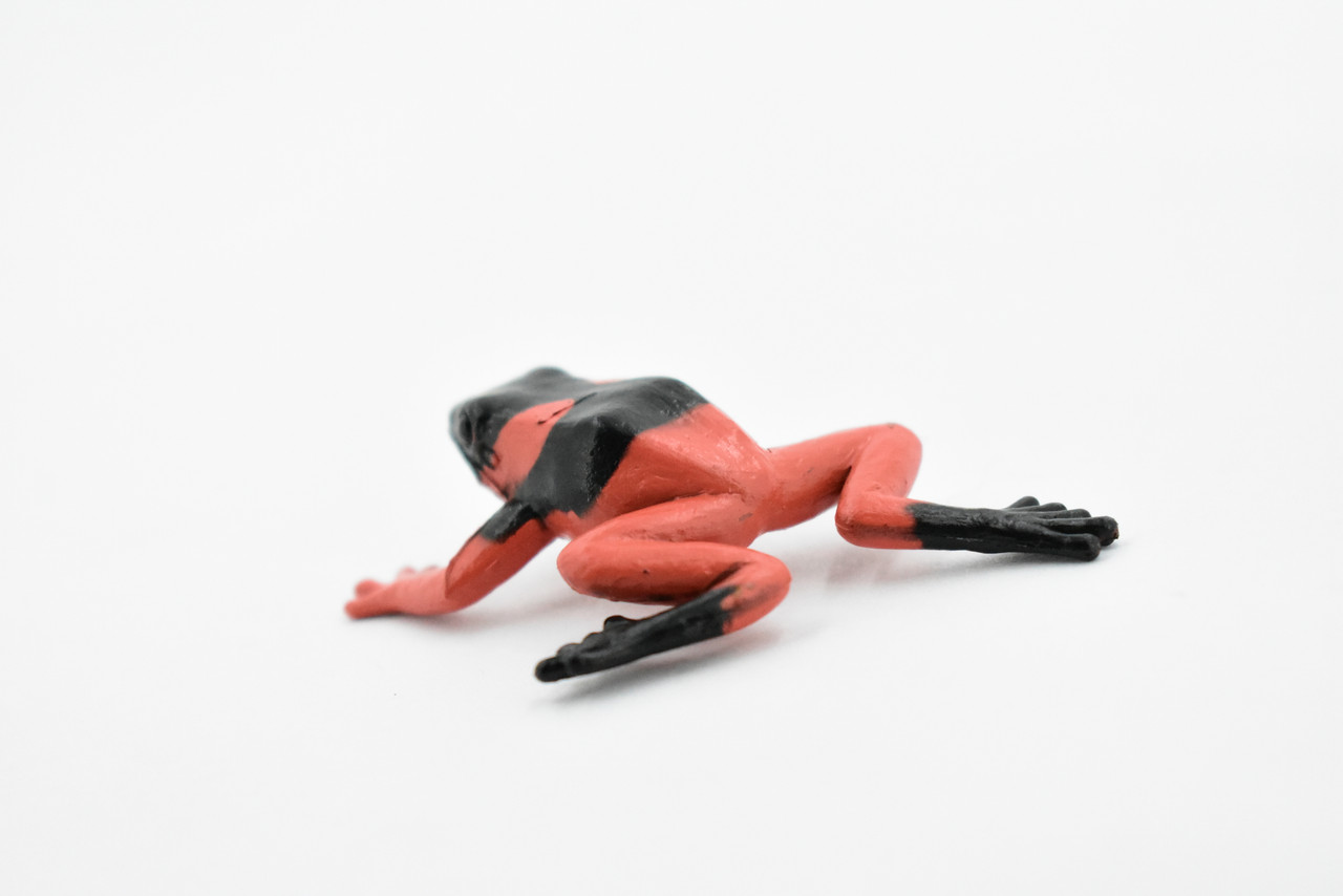 Frog, Red and Black Poison Dart Frog, Rubber Toy, Realistic, Rainforest, Figure, Model, Replica, Kids, Educational, Gift,       t 1/2"     F7009 B33