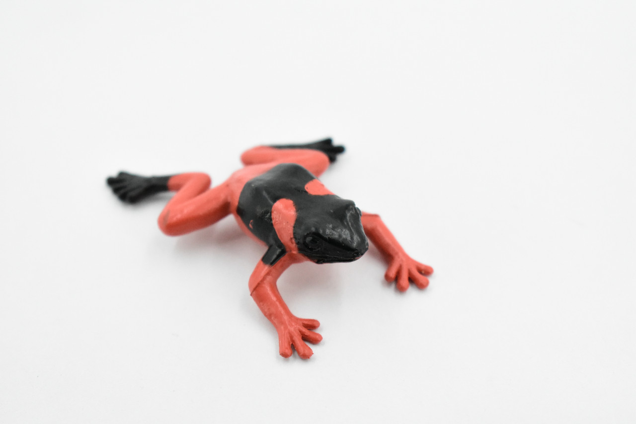 Frog, Red and Black Poison Dart Frog, Rubber Toy, Realistic, Rainforest, Figure, Model, Replica, Kids, Educational, Gift,       t 1/2"     F7009 B33