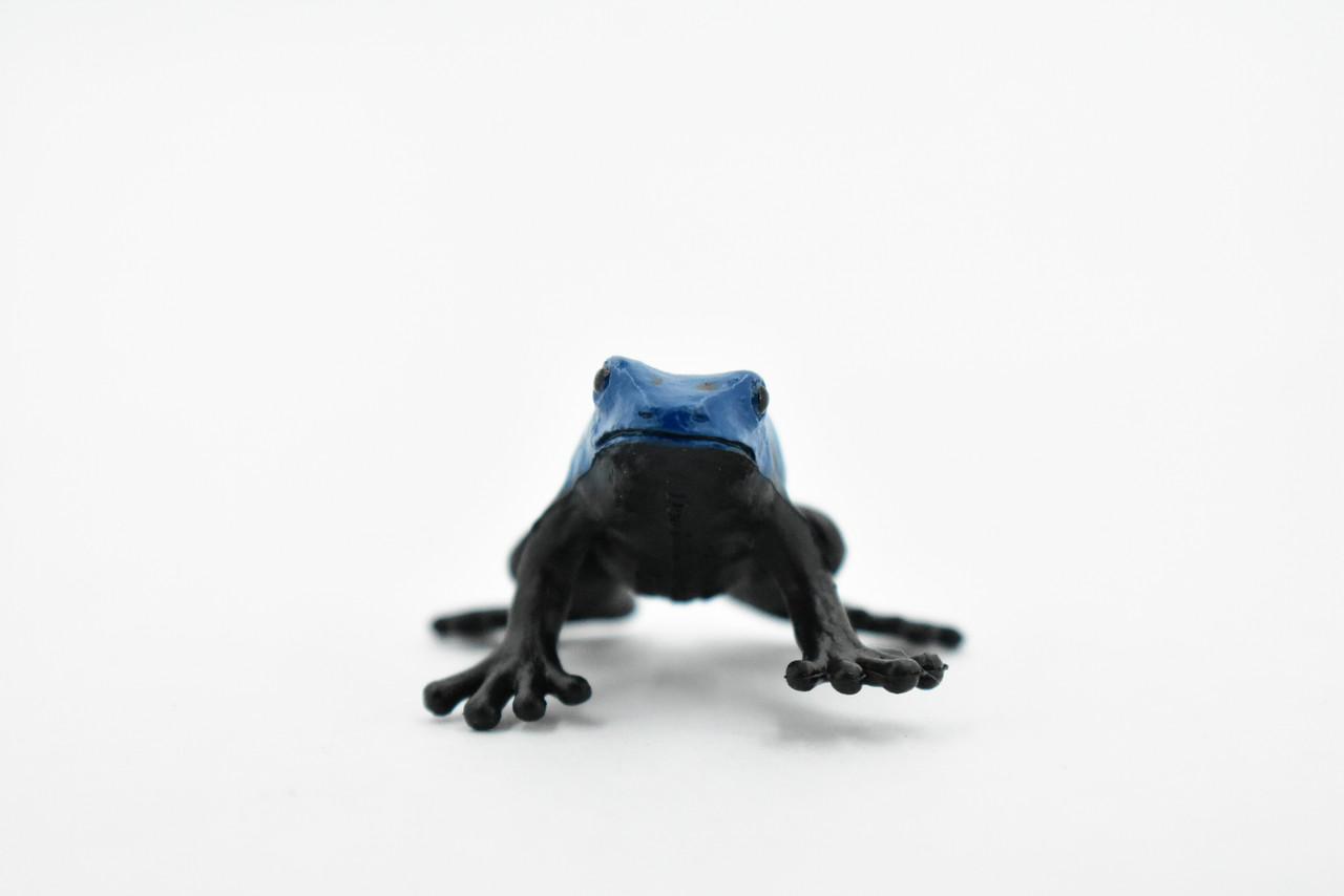 Frog, Blue and Black Poison Dart Frog, Rubber Toy, Realistic, Rainforest, Figure, Model, Replica, Kids, Educational, Gift,      1 1/2"      F7010 B33