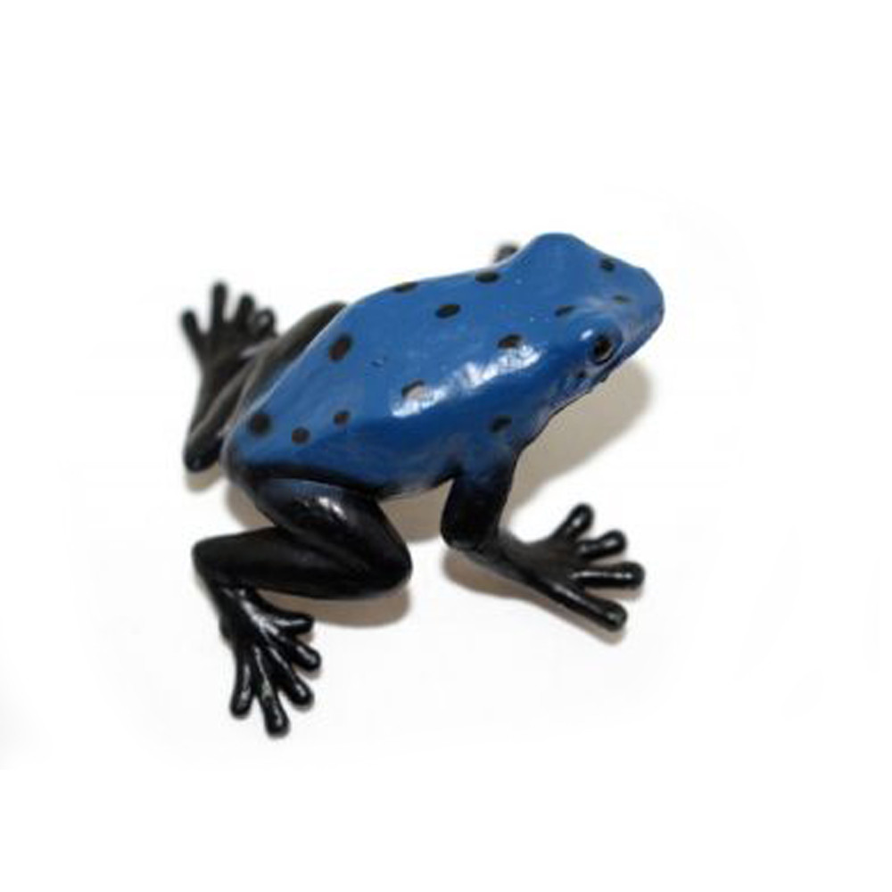 Frog, Blue and Black Poison Dart Frog, Rubber Toy, Realistic