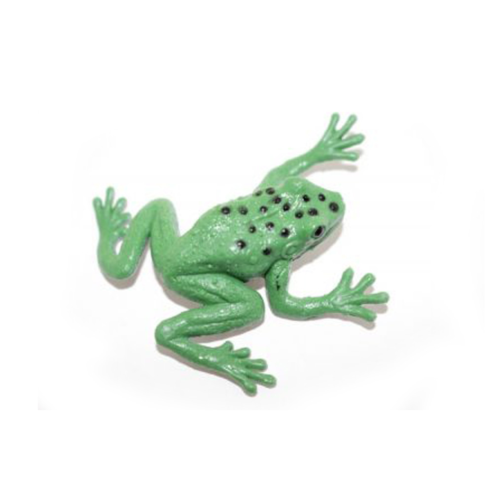 Frog, Green Tree Frog, Spotted, Rubber Toy, Realistic, Rainforest