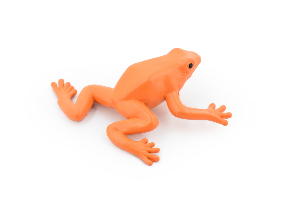 Frog, Golden Mantella Poison Dart Frog, Rubber Toy, Realistic, Rainforest, Figure, Model, Replica, Kids, Educational, Gift,      2"     F7012 B33