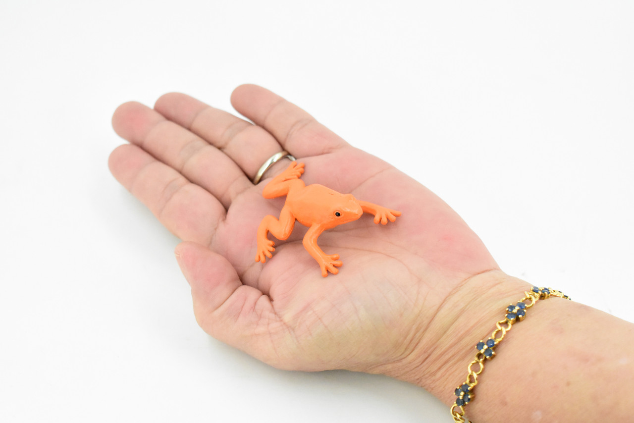 Frog, Golden Mantella Poison Dart Frog, Rubber Toy, Realistic, Rainforest, Figure, Model, Replica, Kids, Educational, Gift,      2"     F7012 B33