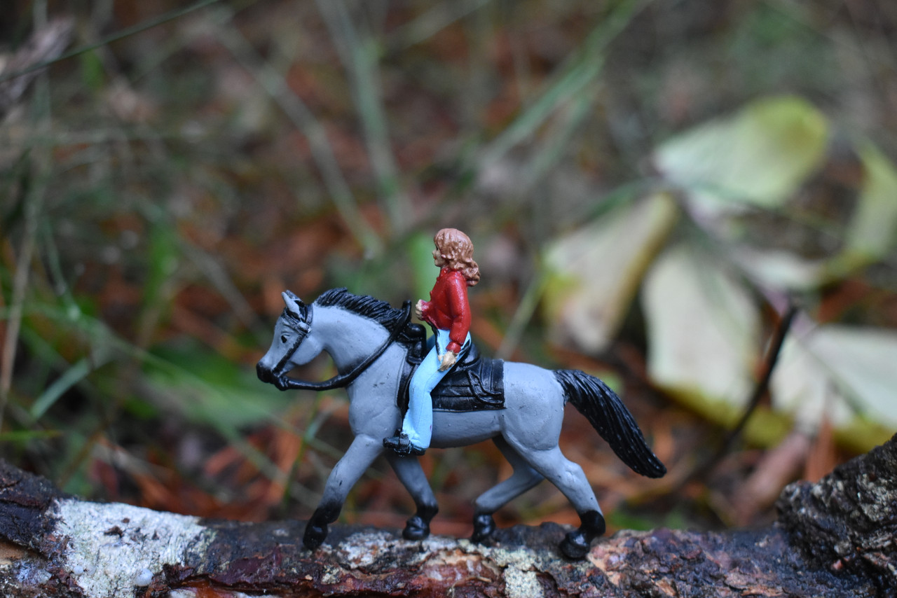 Horse & Rider, Roan Mustang With Female Rider, Hard Rubber, Hand Painted, Realistic, Figure, Toy, Kids, Educational, Gift,     2 1/2"  F7020 B97